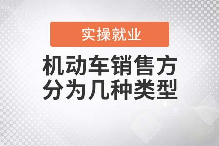 機(jī)動(dòng)車(chē)銷(xiāo)售方類(lèi)型解析 聚焦國(guó)內(nèi)貿(mào)易代理