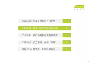 2019年中國(guó)教育信息化行業(yè)報(bào)告 信息技術(shù)咨詢服務(wù)的角色、挑戰(zhàn)與未來趨勢(shì)